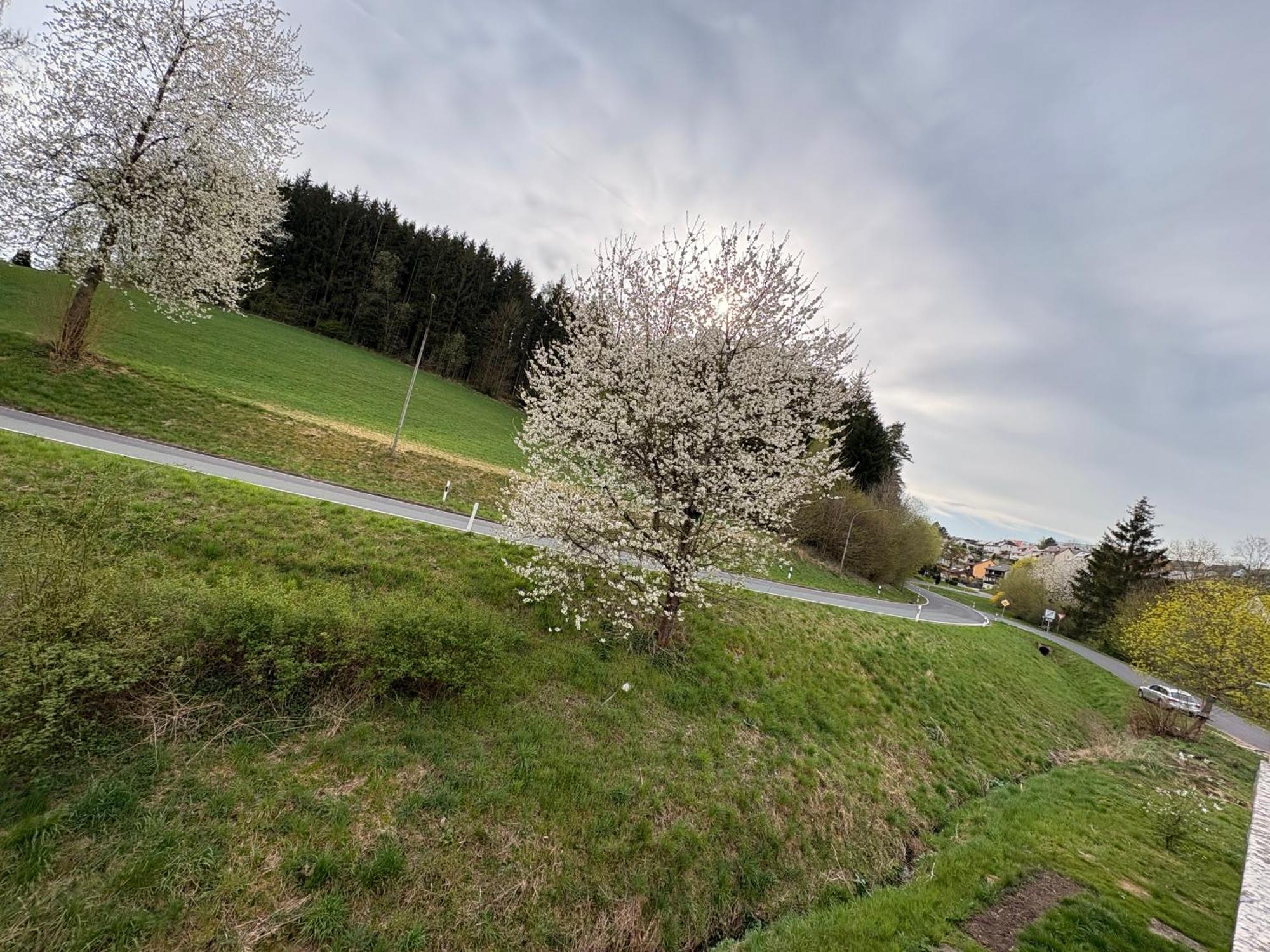 Apartment Pine Retreat - Near Russweiher Eschenbach in der Oberpfalz
